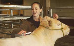 Student grooming animal