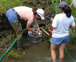 Students doing research