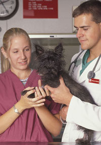 Vet students with dog