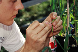 student with plant