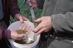 Soil testing