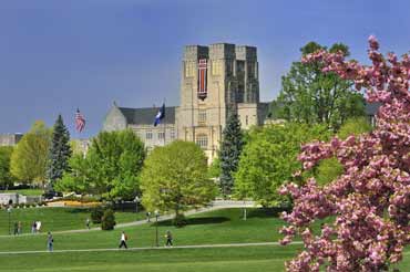 Burruss