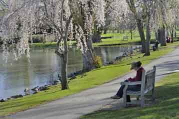 VT Duckpond