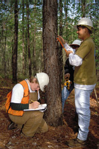 Forestry students