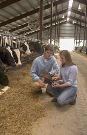 Students with cattle