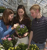 Students with plants